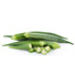 Okra
