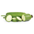 Ridge Gourd