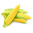 Sweet Corn